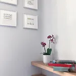 Bed & Breakfast Sognalibro Bed&books Ragusa